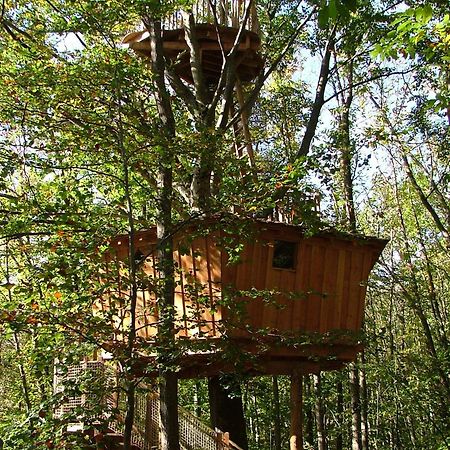 Les Cabanes De Fontfroide Saint-Antoine  ภายนอก รูปภาพ