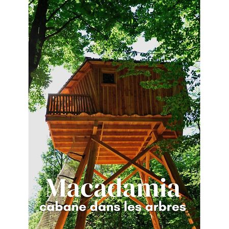 Les Cabanes De Fontfroide Saint-Antoine  ภายนอก รูปภาพ