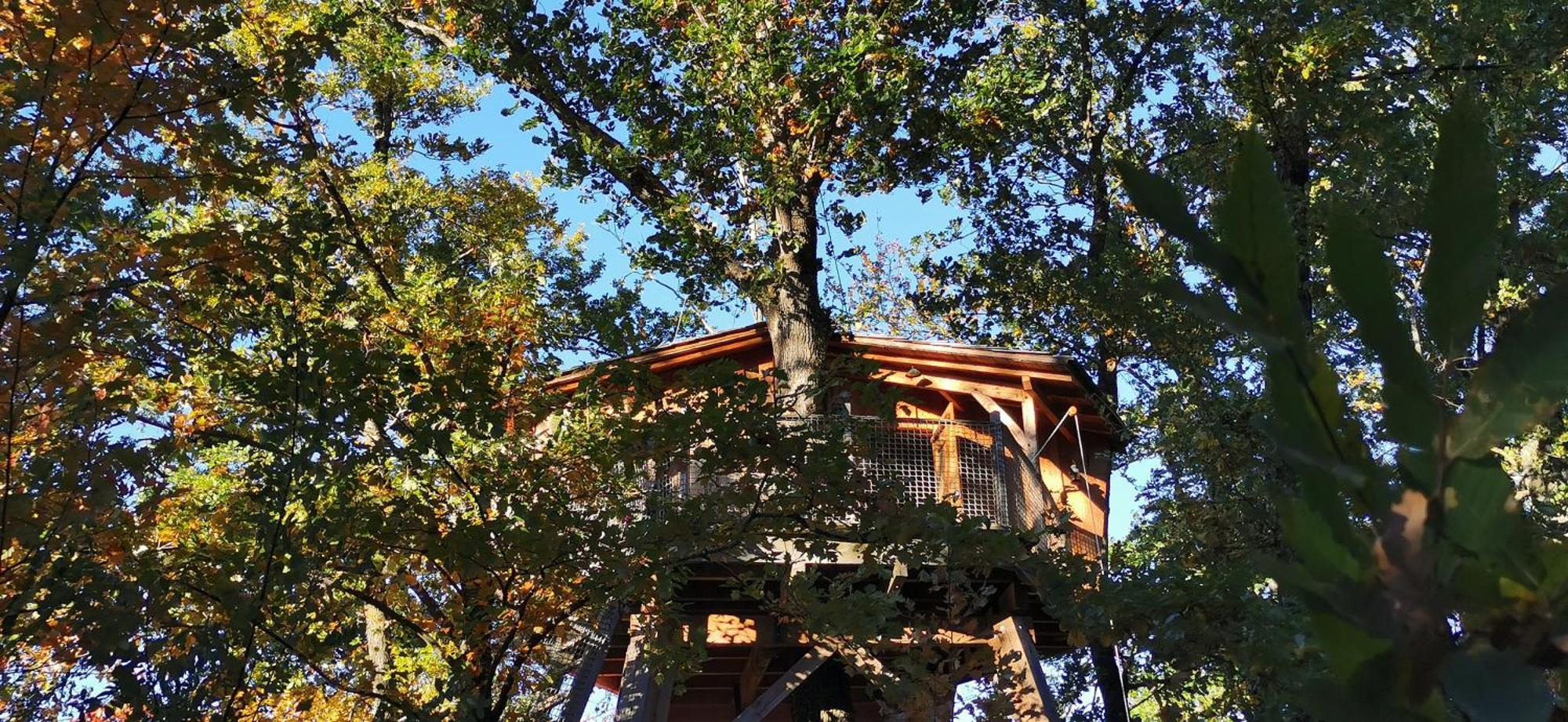 Les Cabanes De Fontfroide Saint-Antoine  ภายนอก รูปภาพ
