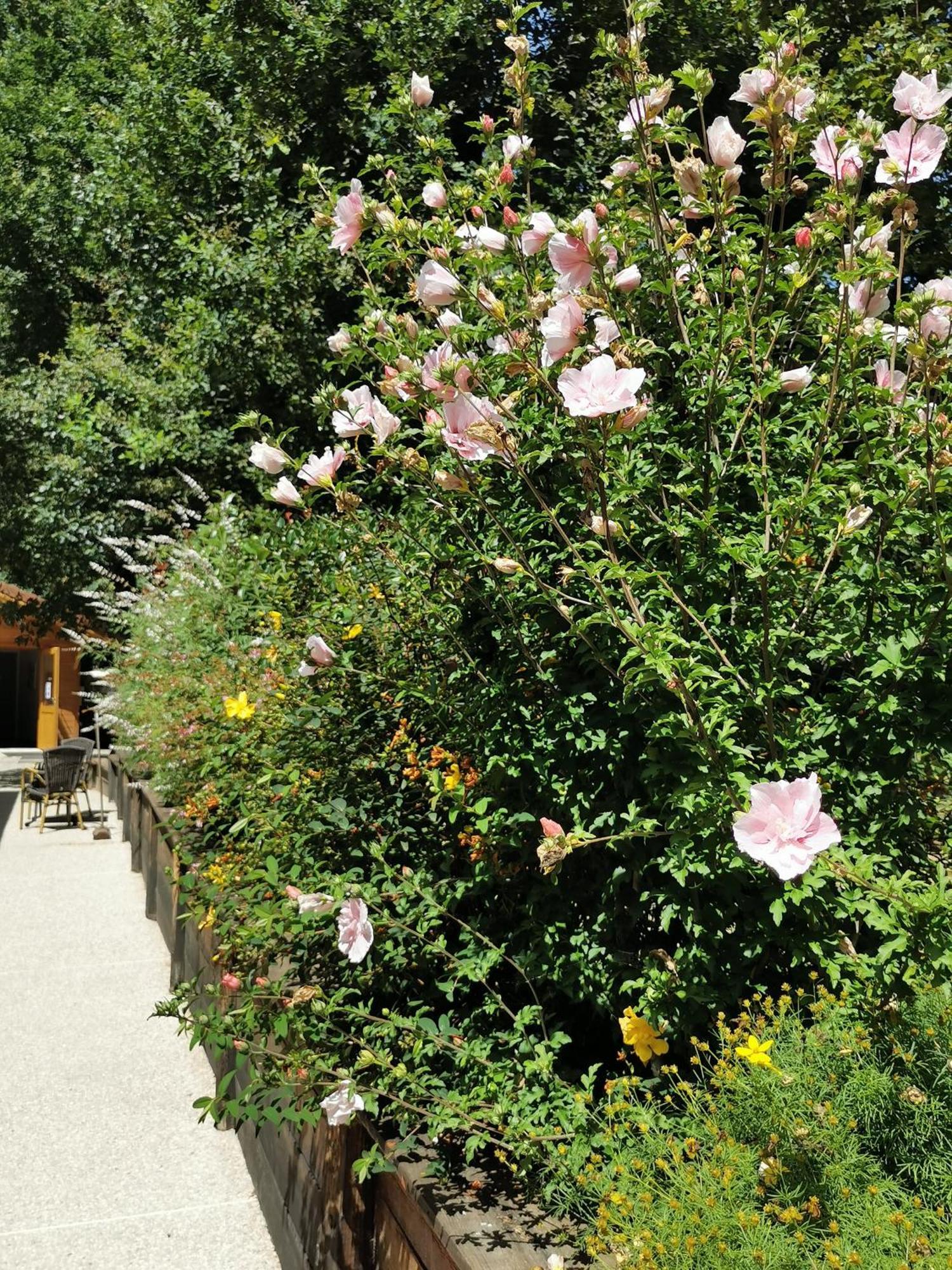 Les Cabanes De Fontfroide Saint-Antoine  ภายนอก รูปภาพ